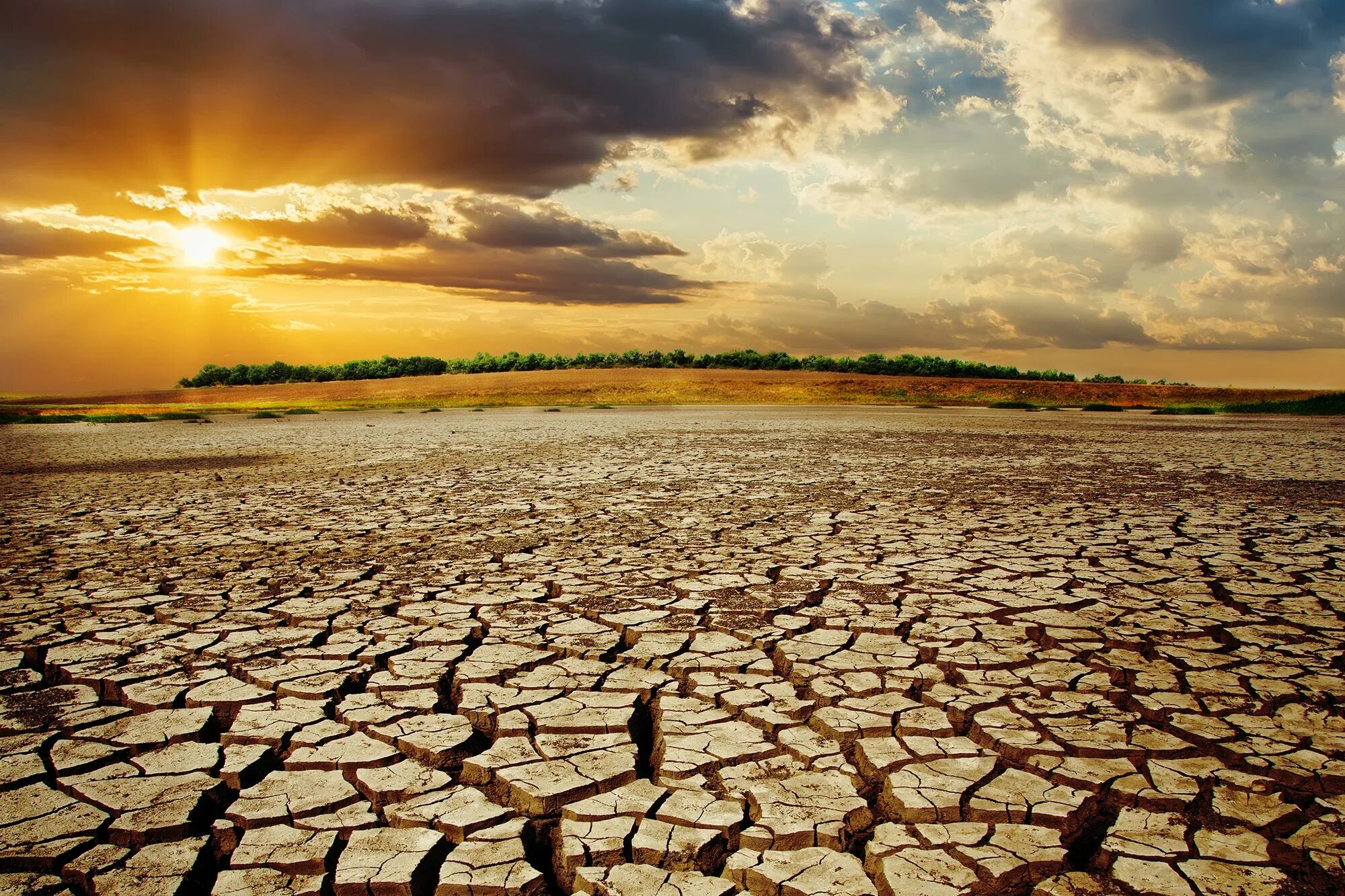 Засуха. Засуха в природе. Засуха Всемирная. Изменение климата.