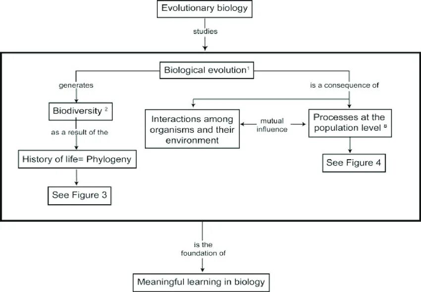 Evolution study