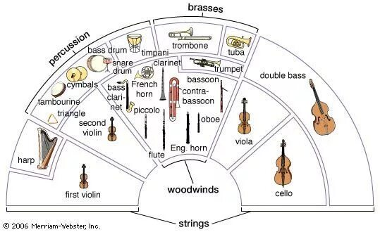 String section