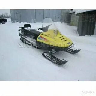 Рысь спорт