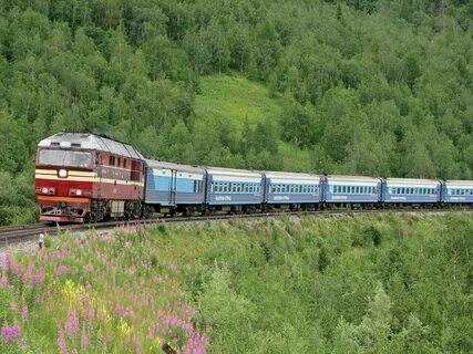Фото состава поезда