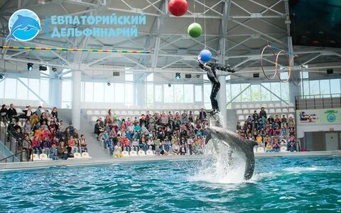 Дельфинарий евпатория