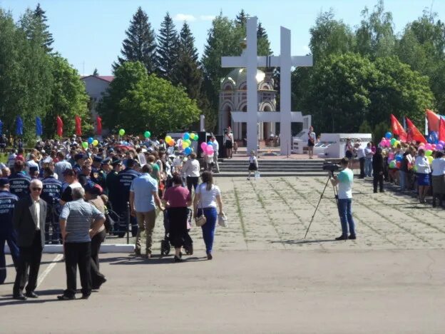 Токарёвка Тамбовская область. Р.П Токаревка Тамбовская область. Тамбовская Токаревский Калиновка храм. Село Токаревка Тамбовской области.