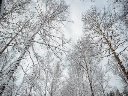 Коуб небо