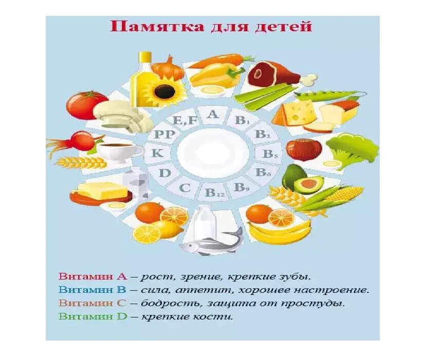 День витамина с в детском саду. Здоровое питание школьника. Правильное питание для детей. Здоровое питание дошкольников. Правильное питание для детей дошкольного возраста.