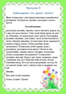 Конспект наблюдение в природе старшая группа