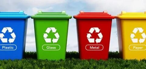 Plant flowers recycle cans collect