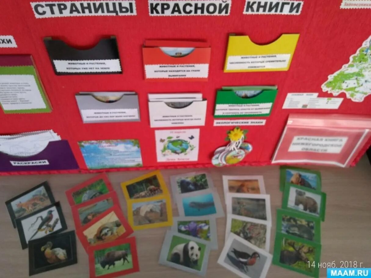 Лэпбук животных для дошкольников. Лэпбук красная книга. Лэпбук насекомые. Лэпбук на тему красная книга крыма. Макет красной книги.