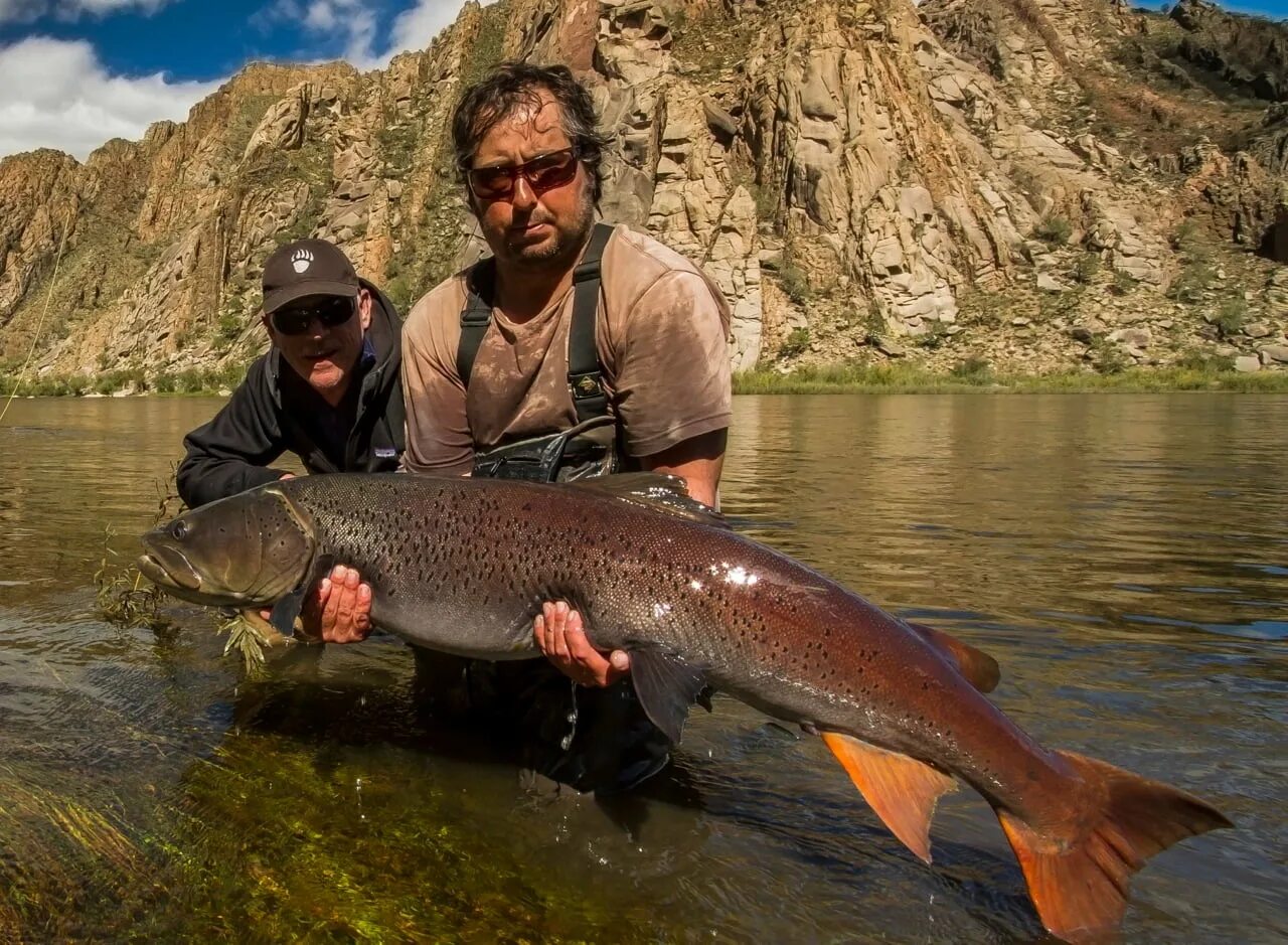 Монголия рыбалка в монголии. Хяргас нуур монголия. Таймень в монголии. Таймень рыба. Монгольский осман рыба.