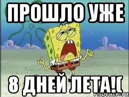 Пока с40