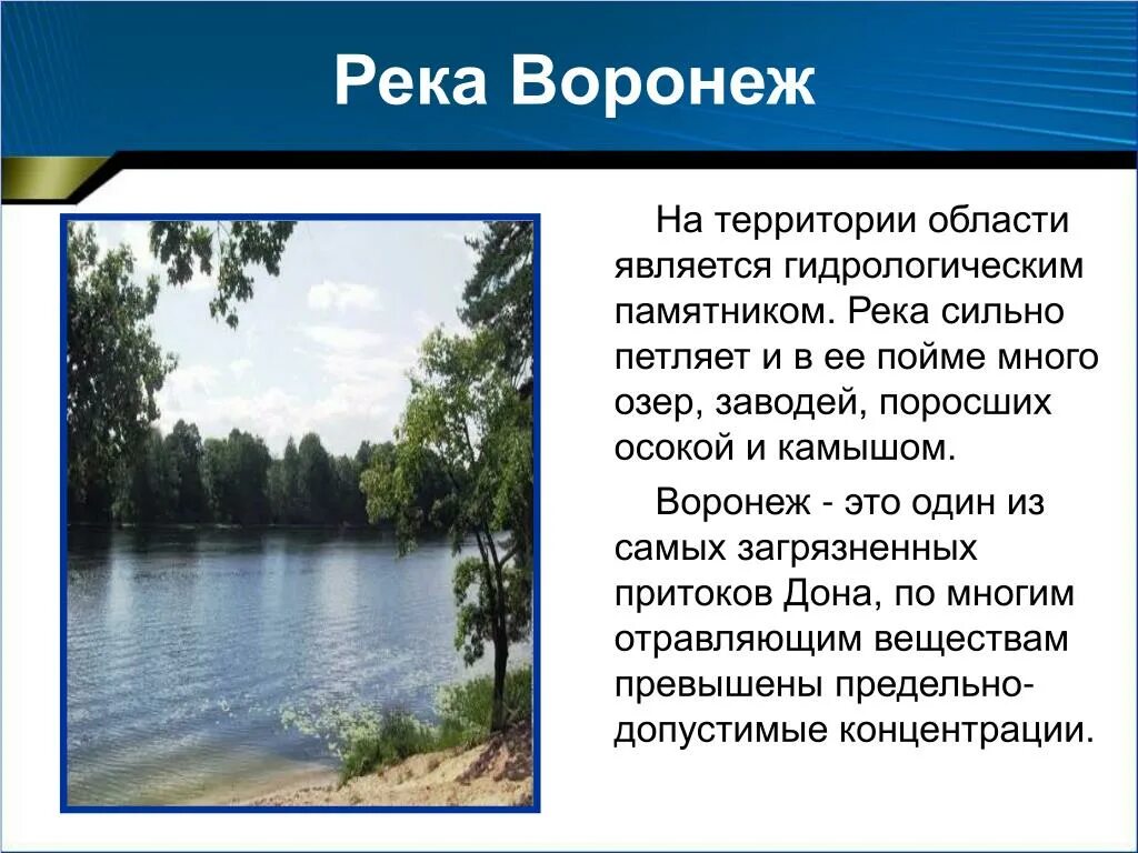 Слова на тему река. Презентация на тему река Воронеж. Реки и озера Воронежа. Сообщение о реке Воронеж. Река Воронеж проект.