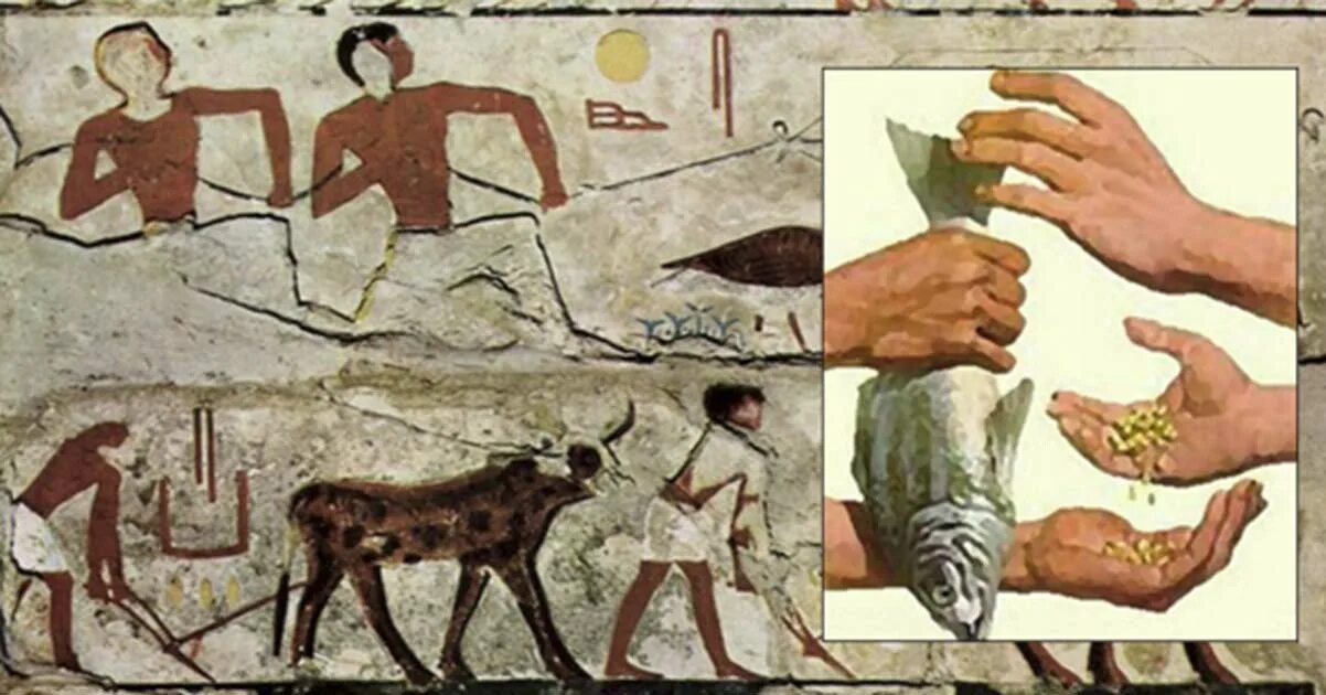 Основы древнего времени. Меновая торговля в древнем Египте. Обмен в древности. Первобытный Египет. Торговля первобытных людей.