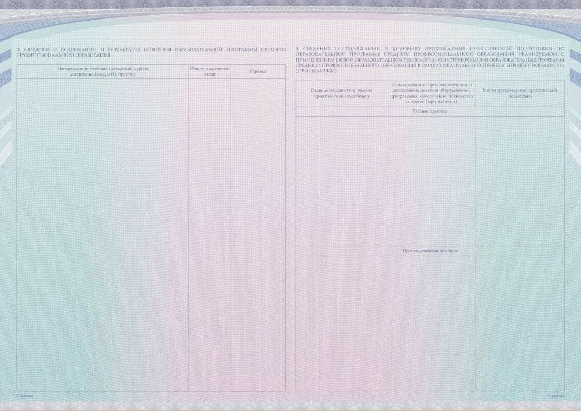 Образец диплома о среднем профессиональном образовании 2008 года. Lbgkjv c jnkbxbtv j chtlytv ghjatccbjyfkmyjv j,hfpjdfybb. Приложение к диплому о среднем образовании. Приложение к диплому спо образец. Приложение к диплому о среднем профессиональном образовании образец.