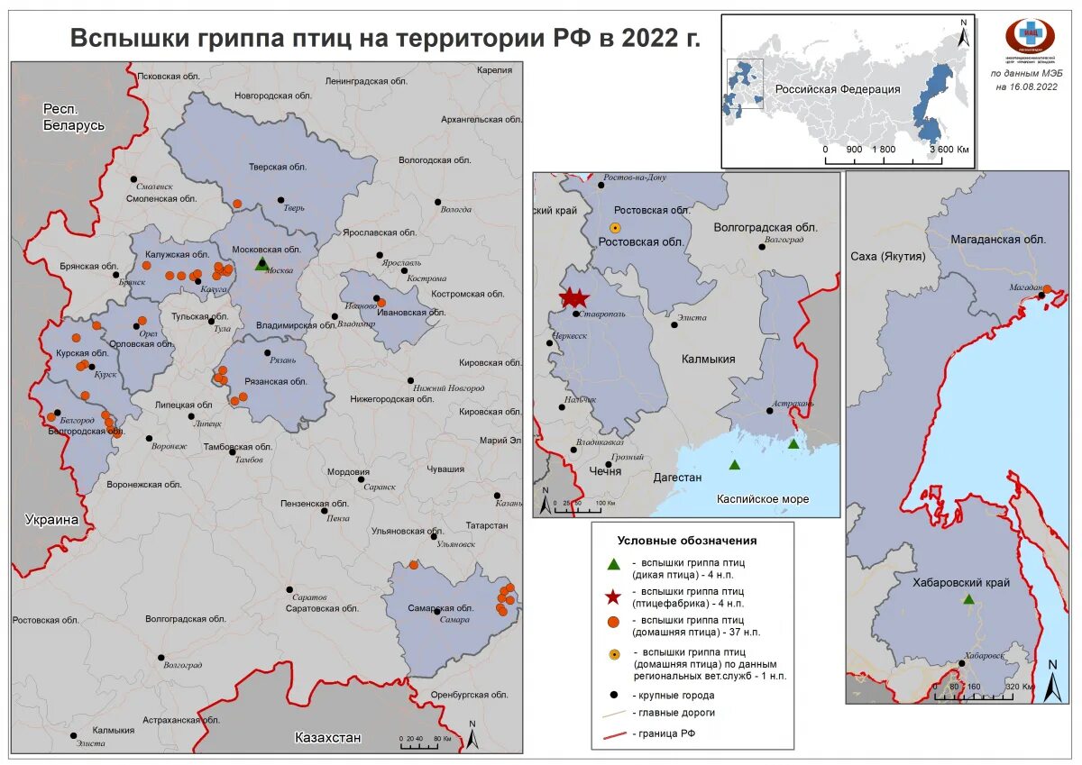 Птичье на карте украины. Пути миграции перелетных птиц. Птичье на карте украины. Птичье на карте украины. Птичье на карте украины.