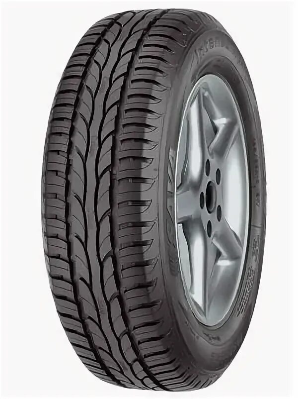 Шины pirelli cinturato p1 verde. 185 60 r15 88h. 185 60 r15 88h. 185 60 r15 88h. Шины tigar prima 88h.