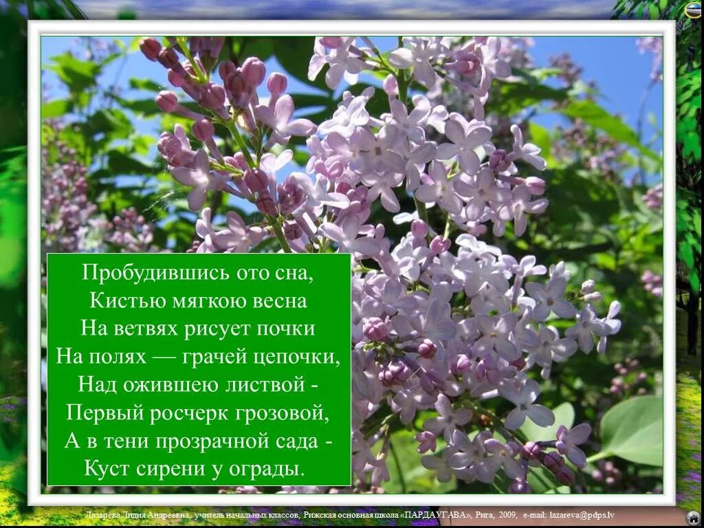 Стихотворение май 2 класс. Сирень для дошкольников. Стихотворение про сирень для детей. Стихотворение про май.