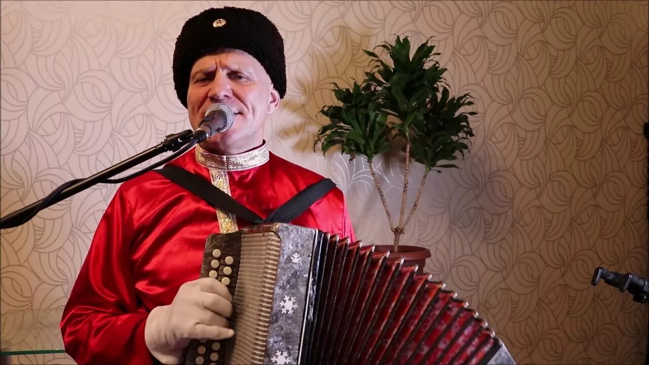 Казачья гармонь. Казак с гармонью. Казак с гармошкой. Казак с гармонью. Казак с баяном.