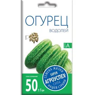 Сорт огурцов водолей