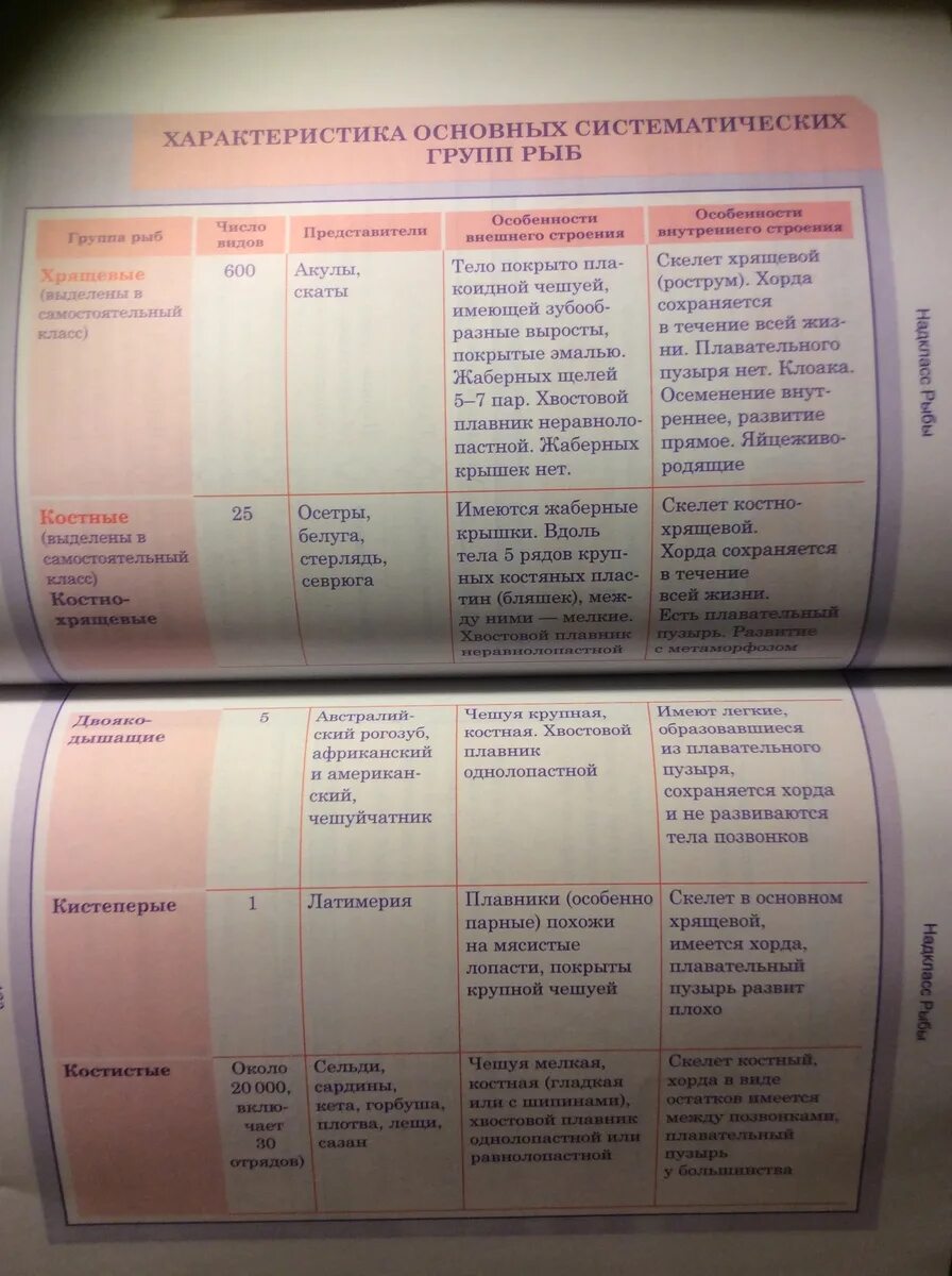 Рыбы сравнение таблица. Сравнительная характеристика хрящевых и костных. Сравнительная таблица хрящевых и костных рыб. Сравнительная характеристика классов рыб хрящевые и костные. Хрящевые рыбы таблица.