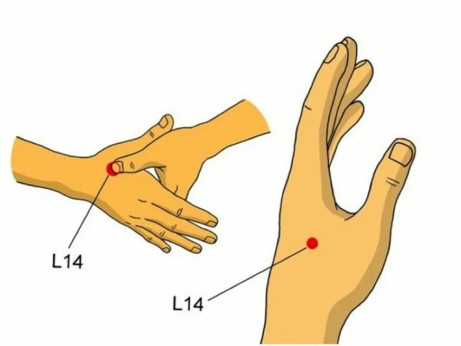 Точка между большим и указательным. Точка li4 акупунктурная. Точка gi-4 Хэ-ГУ. Болевые точки на руке. Между большим и указательным пальцем.