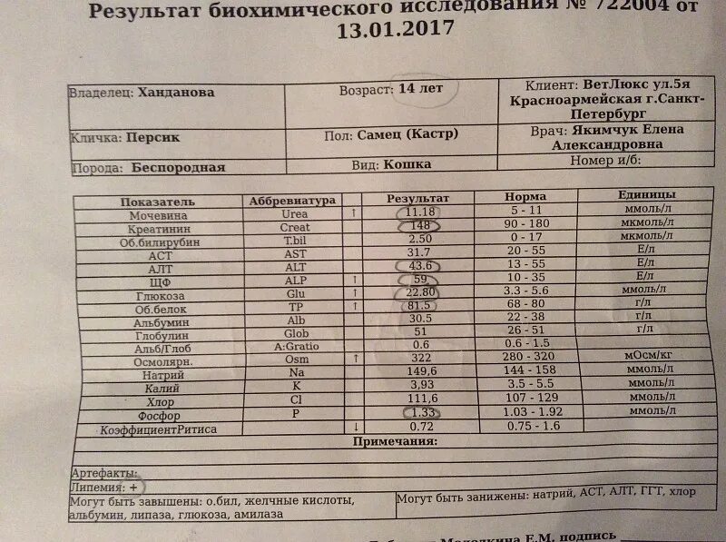 Биохимический анализ алт и аст повышены. Биохимический анализ крови показатели нормы алт. Биохимия крови показатели нормы для беременных. АСТ И алт в биохимическом анализе крови норма. Показатель алт АСТ В крови норма у женщин.