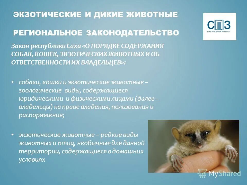 Закон рф о животном мире 1995. Фз о животном мире. Фз о животном мире. 52 фз животный мир. Федеральный закон о животном мире.