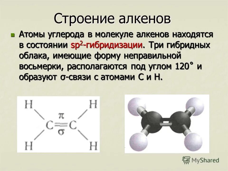 Пропен гибридизация. Строение алкенов на примере этилена. Алкены особенности строения молекул. Электронное строение молекулы Алкены. Строение молекул алкенов кратко.