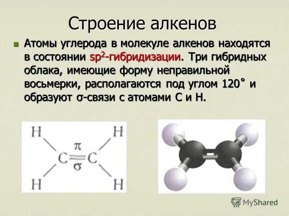 Написать молекулярную формулу алкенов. Строение алкенов на примере этилена. Алкены особенности строения молекул. Электронное строение молекулы Алкены. Строение молекул алкенов кратко.