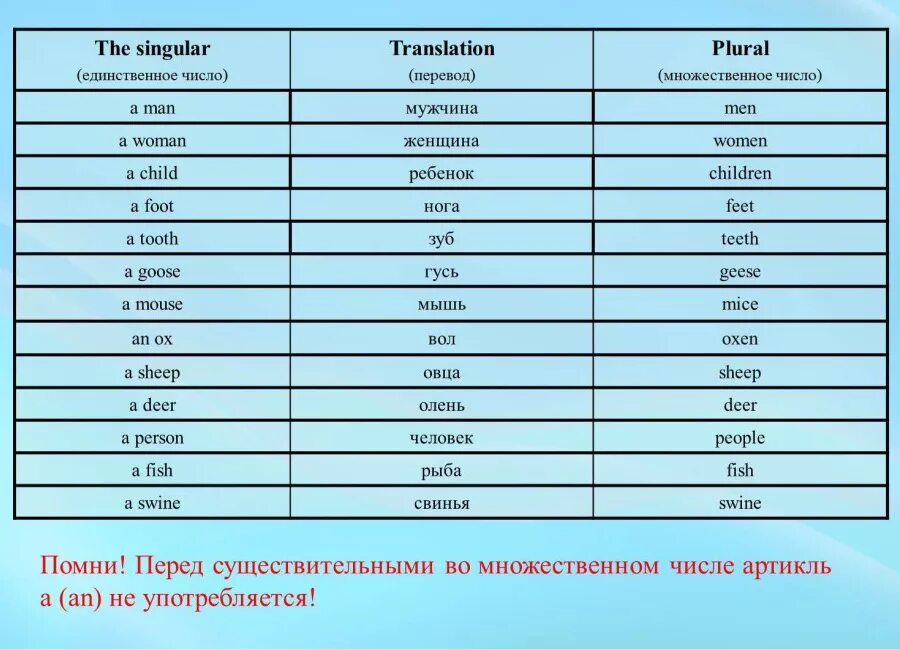 Множественное число слова точка. Множественная форма существительных в английском языке. Числа во множественном числе на английском. Слова во множественном числе на английском. Множественное число существительных в английском.