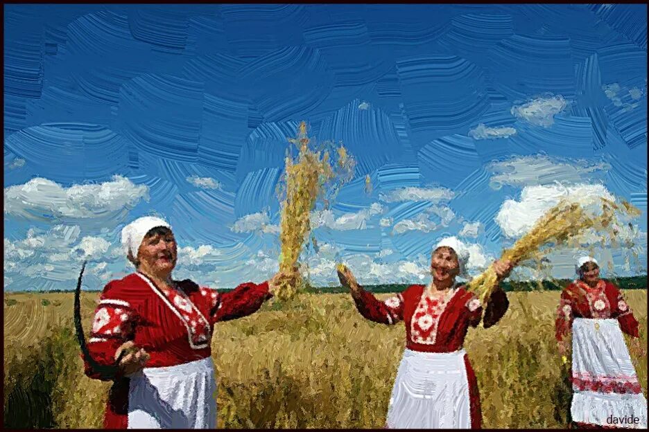 Сноп сканворд. Зажинки обряд. Зажинки в Беларуси. Зажинки сноп Чинагорт. Белорусские традиции Зажинки.