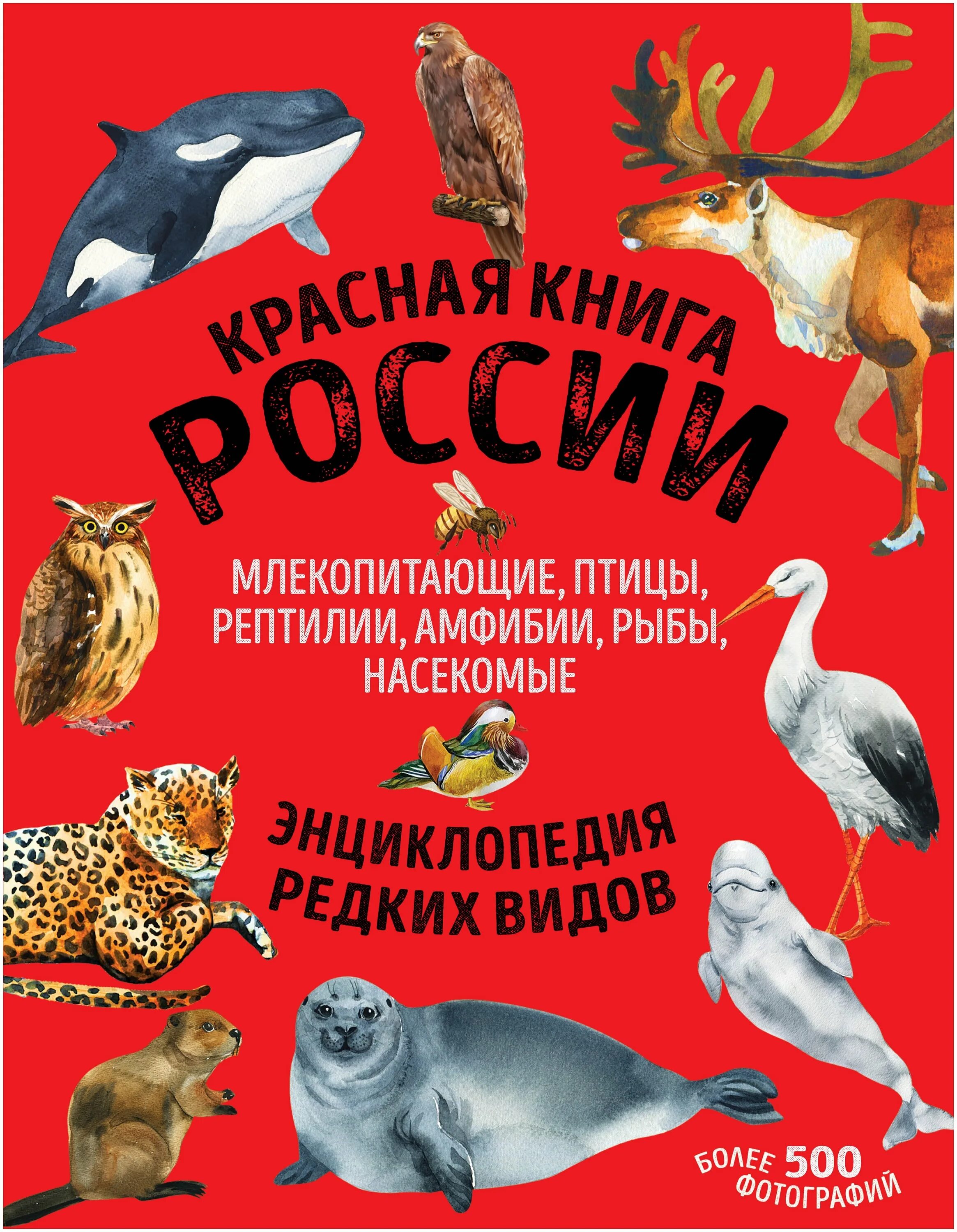 Книга млекопитающие россии