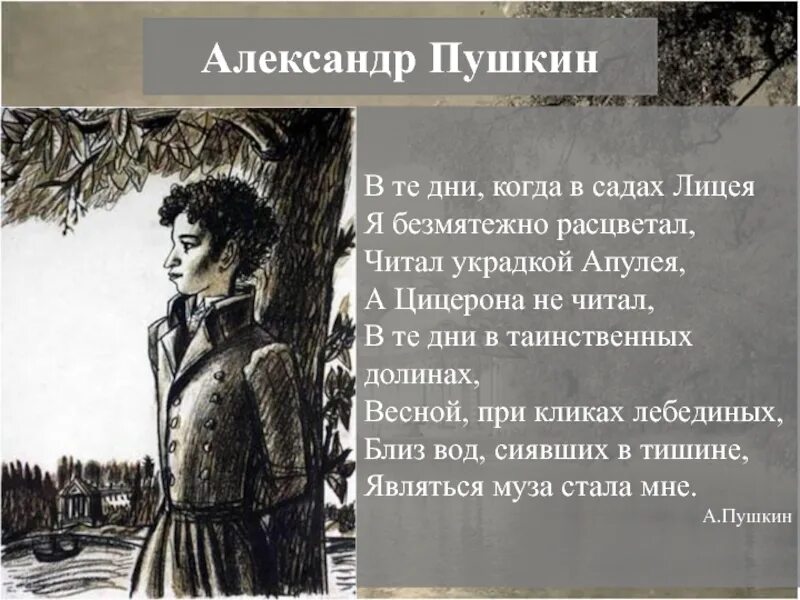 Читал охотно апулея а цицерона. Стихотворение про лицей. Стихи Пушкина о весне. Стихи Пушкина. Пушкин о лицее стихи.