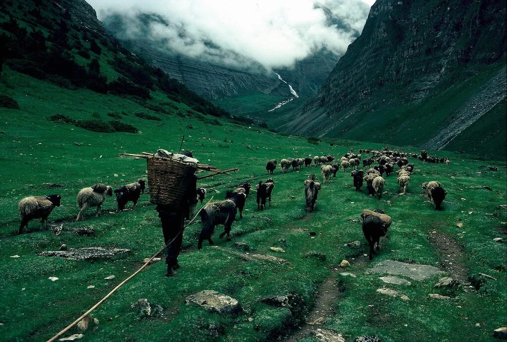 Реферат на тему особенности жизни в горах. Люди живущие в горах. Жизнь в горах Кавказа. Жизнь людей живущих в горах. Народы живущие в горах.
