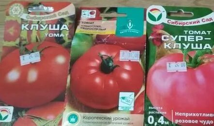 Характеристика отзывы томатов клуша