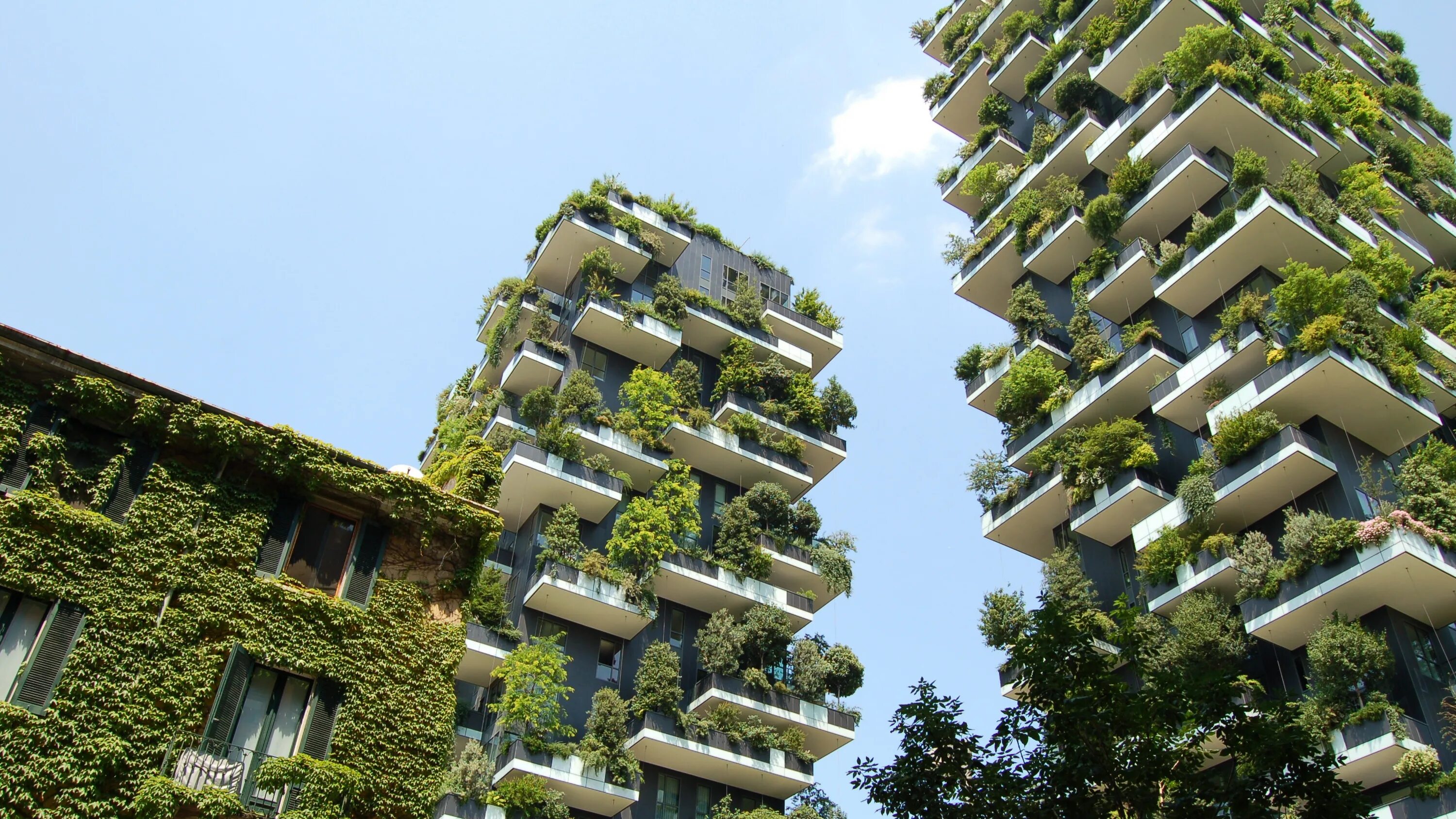 Городская растительность. Bosco verticale Милан. Небоскребы Bosco verticale («вертикальный лес»). Bosco verticale (вертикальный лес), Милан, Италия.. Bosco verticale (вертикальный лес), Милан, Италия. Архитекторы - Stefano Boeri Arhitetti.