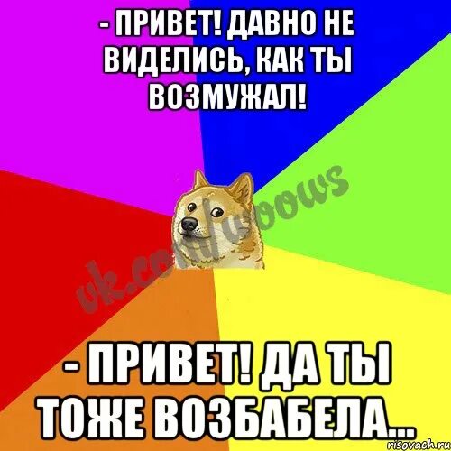 Давно не виделись. Привет привет давно не виделись. Привет давно не виделись картинки прикольные. Картинки как давно не виделись.