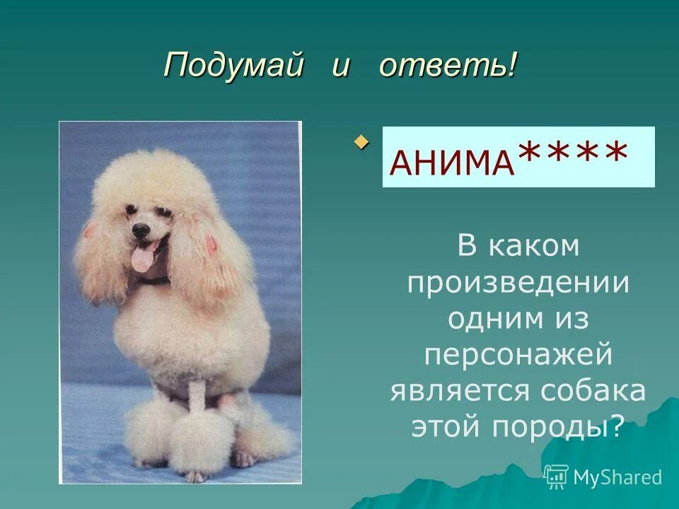 животные в баснях крылова. рассказ белый бим черное ухо. басня ивана андреевича крылова квартет текст. сюжет сказки о животных. произведения где есть коты.