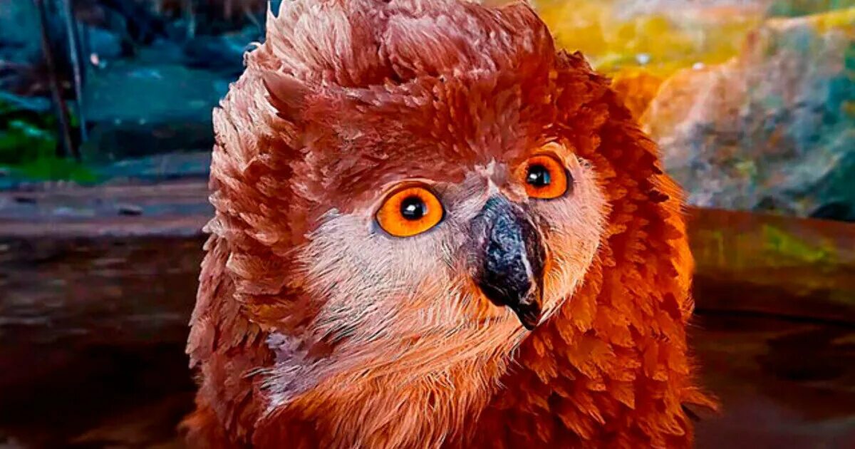 Медведосыч балдурс гейт 3. Совомедведь baldur's gate 3. Минтара baldur's gate 3. Балдус гейт 3. Медведосыч балдурс гейт 3.