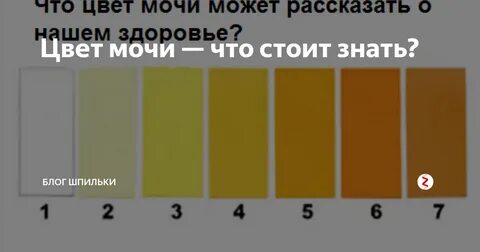 Нормальным тоном