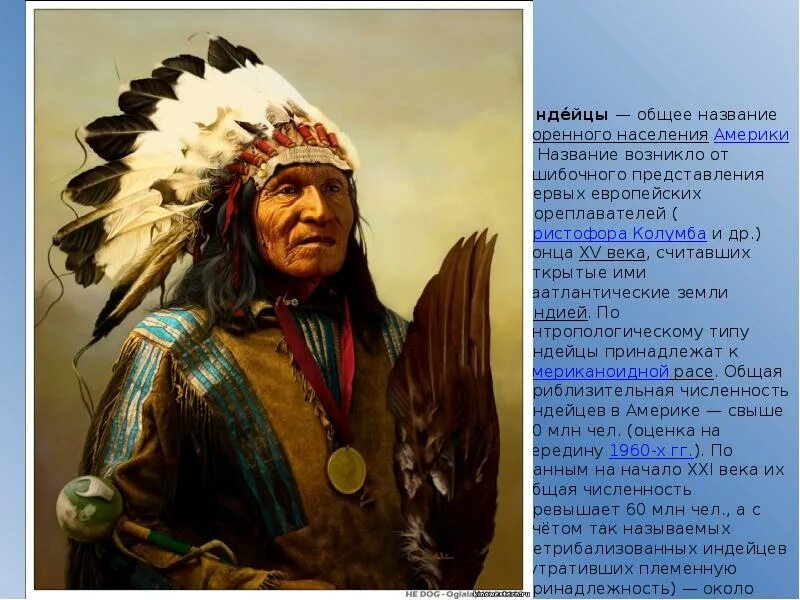 Что значит индеец. Высказывания индейцев. Поговорки индейцев. Мудрость индейцев. Индейские пословицы.