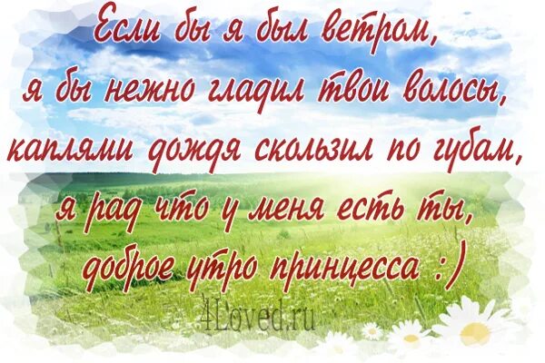 С добрым утром любимая стихи. Доброе утро любимая стихи. Стихи сдобрим утром любимая. Стихи любимой девушке с добрым утром. Самое доброе утро любимая стихи