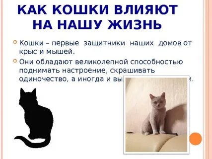 Какую роль играют собаки в жизни человека