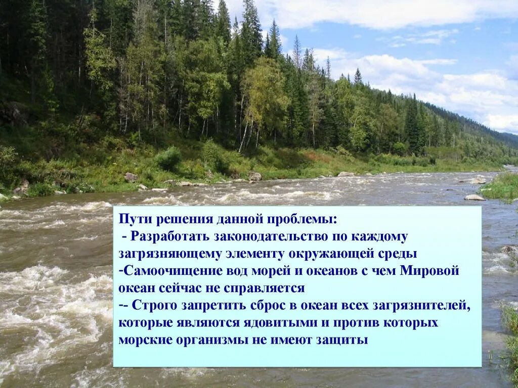 Как решить проблему загрязнения океанов. Пути решения загрязнения мирового океана.
