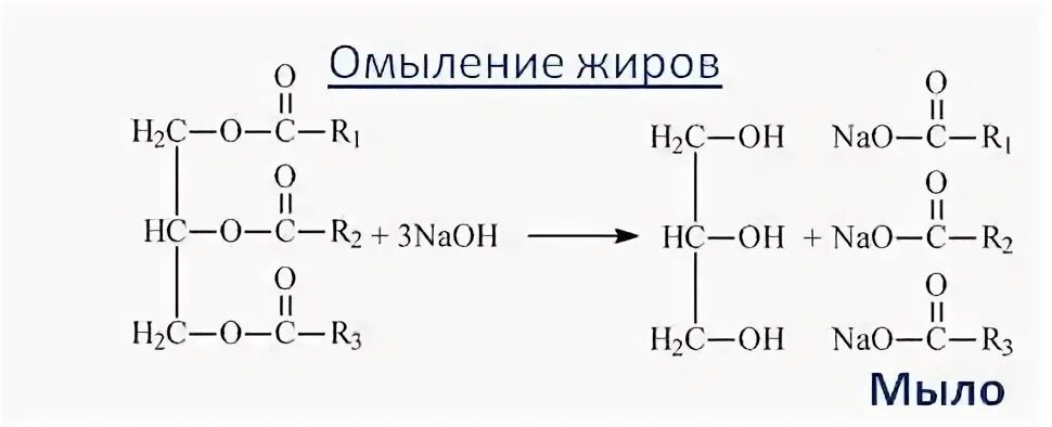 Свойства характерные для жиров. Лучшие растворители жиров. Какое строение имеют жиры. Водорастворимые жиры.