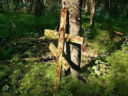 Могила в лесу