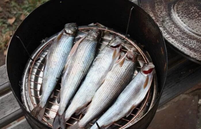Как вялить хариуса. Копчения хариуса. байкальский хариус копченый. хариус байкальский вяленый. хариус холодного копчения.