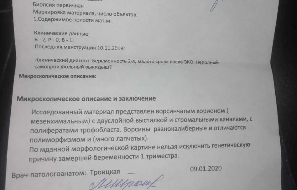 На каком сроке угроза выкидыша. Гистологическое исследование плода после прерывания беременности. Гистологическое исследование плода после замершей. Гистология при выкидыше заключение. Заключение гистологии после выкидыша.