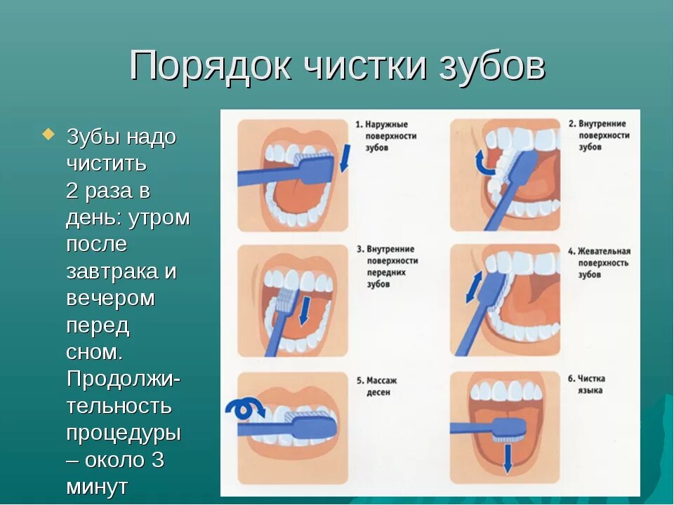 Сколько нельзя пить после чистки. Метод чистки зубов для детей. Памятка чистки зубов. Схема чистки зубов. Правила как правильно чистить зубы.