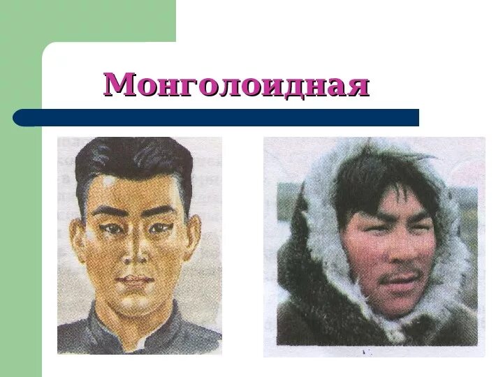Человеческая монголоидная раса. Монголоидная раса монголоиды. Отличительные черты монголоидной расы. Монгол раса.