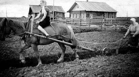 Люди пахать